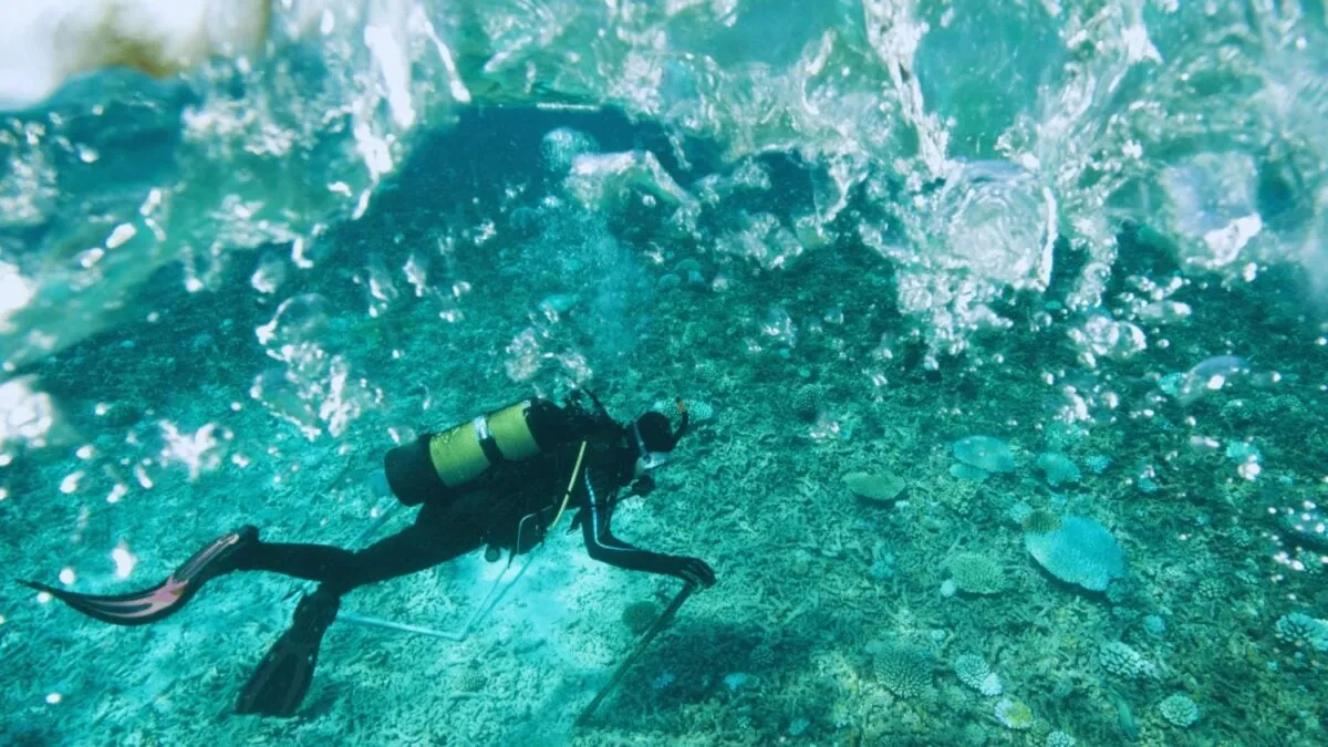 De vuurtoren van Alexandrië duikt weer op: een wonder onder water